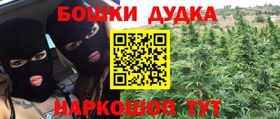 прущие грибы Баксан