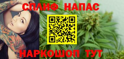 прущие грибы Баксан