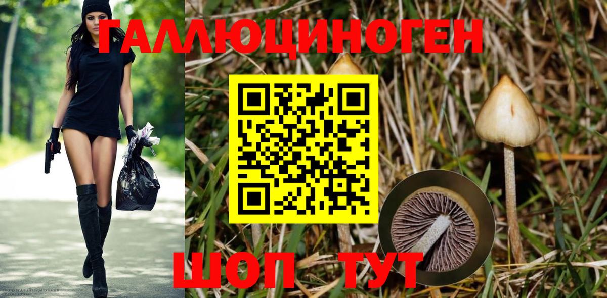 Псилоцибиновые грибы прущие грибы Анжеро-Судженск