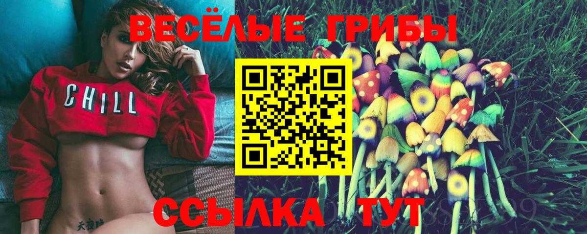 Анжеро-Судженск  Псилоцибиновые грибы Psilocybe  где продают наркотики  Псилоцибиновые грибы Magic Shrooms  Вход с VPN 